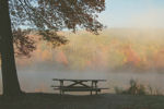 early morning by lake in fall