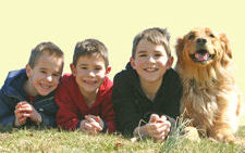 three young boys and a dog